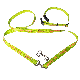  Heavy Duty Pet Dog Leash and Collar Set