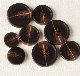  Garment Clothing Plastic Button 16L-40L High Quality Wholesale Buttons