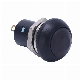  12mm Waterproof Black Domed Plastic 220V Self-Locking Plastic Button