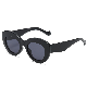  Skylark Wholesale Customized UV400 Cat' S Eye Fashion Y2K Retro Sunglasses for Men and Women