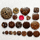  Brown Coconut Shell Sewing Button 2 Holes for Toys Garment Accessories