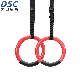  Home Fitness Sport ABS Rings