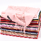 New Fashion Pashmina Cashmere Women Scarf Wholesale