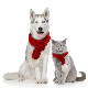  Factory Stocked Hot Sale Adjustable Funny Christmas Warm Knitted Pet Dog Cat Scarf