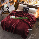 Winter Two Layer Flannel Sherpa Thickened Soft Quilt Blanket