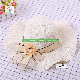  High Quality Fashion Straw Cap Sunscreen Beach Women Hat with Ribbon