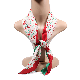  70X70cm New Fashion Wholesale Small MOQ Elegant Kerchief Neck Scarf Women Square Silk Satin Scarf