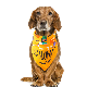  High Quality Custom Fashion Christmas Halloween Printed Logo Soft Adjustable Breathable Triangular Towel Pet Bandana Scarf for Dog Cat