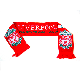 Design Custom Your Fashion Scarf Printing with Embroidered Scarf Custom Football Scarves
