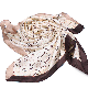  Free Sample Custom 100% Silk Scarves Printing Logo Service Designer Scarf for Women