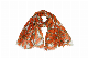  Customized Pattern Lady Dobby Fabric Shawl Scarves Orange Sunflower Woman Designer Scarf