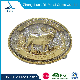  Promotional Custom Buckles Cheap Bulk Sale Polyester Screen Printed Neck Lanyard with Safety Belt Buckles (belt-023)