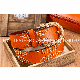  Fashion Rivet Decoration Women Leather Belt (JYB-202001)