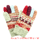  100% Acrylic Knitted Winter Gloves for Women (JYG-25247)
