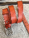  Man Stylish Fashion Leather Belt (E3502)