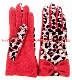 Lady Fashion Wool Touch Mobile Gloves (JYG-25060)