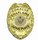  3D Metal Soft Enamel Hard Enamel Lapel Pin Security Badge