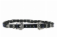  New Design Western Ladies fashion Studs Double Buckle Belt