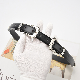  European and American Fashionable and Versatile Ladies Double Pin Buckle Decorative Belt