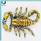 Custom Unique Design 3D Scorpion Pin Buckle, Custom Belts with Hook Military Logo Men Big Cowboy Navy Belt Buckle