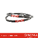  High Quality Drive Belt for Raptor Classic