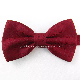  High Quality Printing Polyster Bowtie