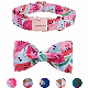 Metal Rose Gold Release Buckle Adjustable Dog Collars Bow Tie Collares/Colored Custom manufacturer