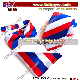  Wholesale Factory Silk Ties Handkerchief Bowties Gift Box Set Custom Logo Tie Tie Accessory (B8012)