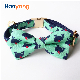  Hanyang OEM Pet Product Dog Leash Dog Collar Witn Bow Tie