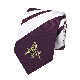  Polyester Silky Badges All-Seeing Eye Masonic Necktie Novelty Yarn-Dyed Jacquard Ties for Men