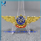  High Quality 8cm Width Die Struck Bronze Gold Plating Metal Badge, Ecuador World Anti_Drug Council Metal Brooch with Enamel