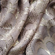  Silk Viscose Clip Jacquard Woven for High Fashion Women Dress