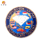  Factory Custom Logo 3D Coins Antique Old Commemorative Metal Collectible Gold Silver Challenge Coin
