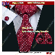  Business Gifts Business Promotion Gift Men′ S 100% Jacquard Woven Tie Silk Neckties Tie (B8047)