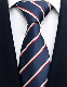  Custom Design Luxury Paisley Neckties Jacquard Striped Silk Neck Ties for Men