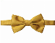  Custom Polyester Jacquared Party Holiday Leisure Wedding Bowtie Bow Tie