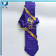  Custom High Quality Personalized Imitated Silk Polyester Neckti, Fabric Corbatas Woven School Student Ties
