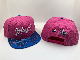  6 Panels Wholesale Flat Brim Bill Hip Hop Luxury Colorful Custom 3D Embroidery Logo Printing Sports Trucker Hats Breathable Adjustable Baseball Cap
