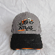  Zp027 Gray Color Embroidered Baseball Cap for Promotion