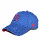 Wholesale Cotton Embroidery Custom Mesh Snapback Fashion Acrylic Unisex Baseball Cap manufacturer