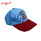  Fashion New Design Custom Sport Embroidered Baseball Cap