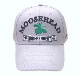 Custom Baseball Cap Burshed Cotton Promotional Sports Embroidery Baseball Cap