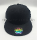  Blank Sports Caps Snapback Baseball Caps with Flat Visor