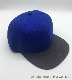  Competitive Price for 21*21 Cotton Snapback Blank Sport Caps