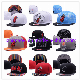  New Miami Heat Custom Acrylic Fashion Era Style Sport Baseball Snapback Cap with Embroidery