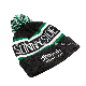  China Beanie Factory Custom Logo Embroidery Winter Knit POM Beanie Hat Acrylic Snowboard Ski Cap