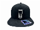 Custom Embroidered Baseball Cap Hip Hop Hat