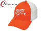  Capwindow Custom Designed Trucker Baseball Mesh Cap (14068)