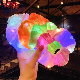  Luminous Hair Ring LED Rubber Band Women′s Hair Tie Cord Color Lamp Glow Net Red Ins Headrope Headwear