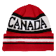  Knitted Hat Winter Hat in Nice Color NTD16c